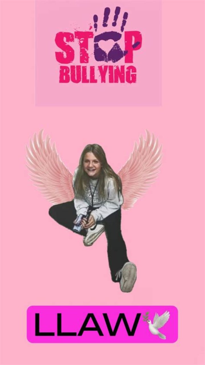 Bullying At Aubrey Wyatt: Causes And Solutions