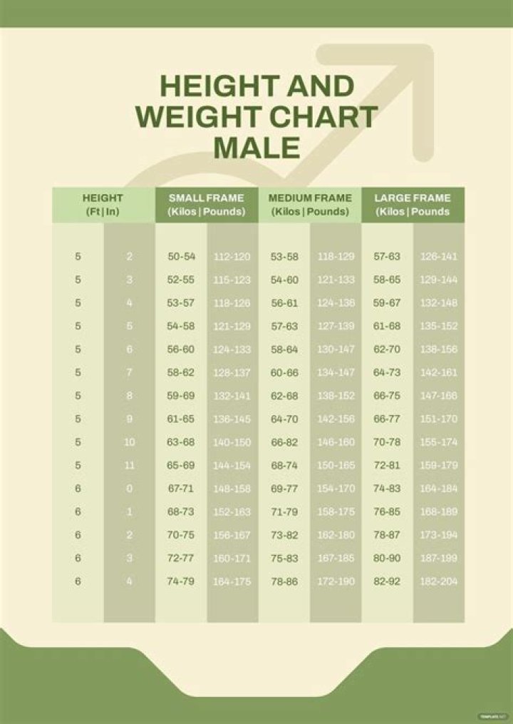 Decoding Tylas Waist Measurement: A Comprehensive Insight