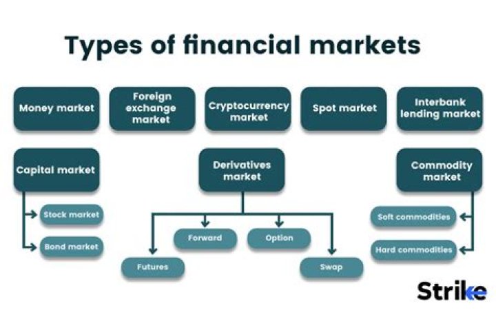 Exploring Renn Stock: The Rising Star Of Financial Markets