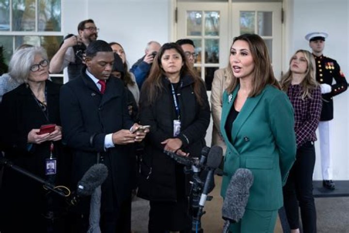 Understanding Alana Habba And Her Children