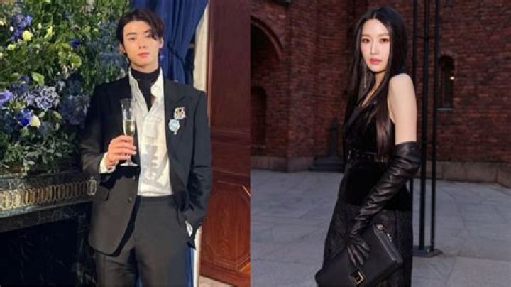 Unveiling The Truth: Is It True That Cha Eun Woo Is In A Relationship?